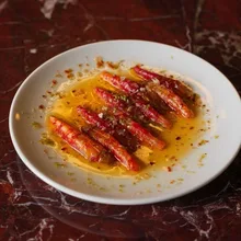 Crudo de camarão vermelho
